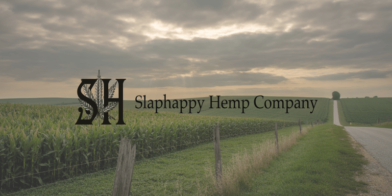 a rural missouri landscape at dawn