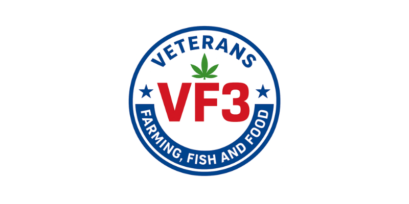 vf3 logo